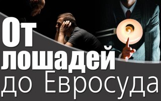 Від коней до Євросуду