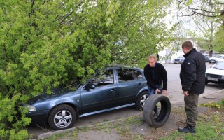 Судова практика: ВГСУ роз'яснив, хто повинен платити за розбиті деревами машини