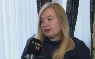 Приватна виконавча система: досвід Литви