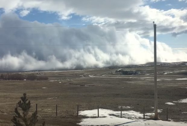 В Канаде произошло редкое природное явление, опубликовано видео