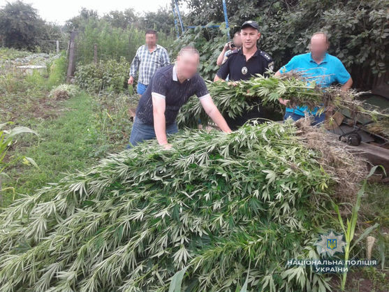 Под Винницей силовики изъяли у сельской жительницы крупную партию наркотиков