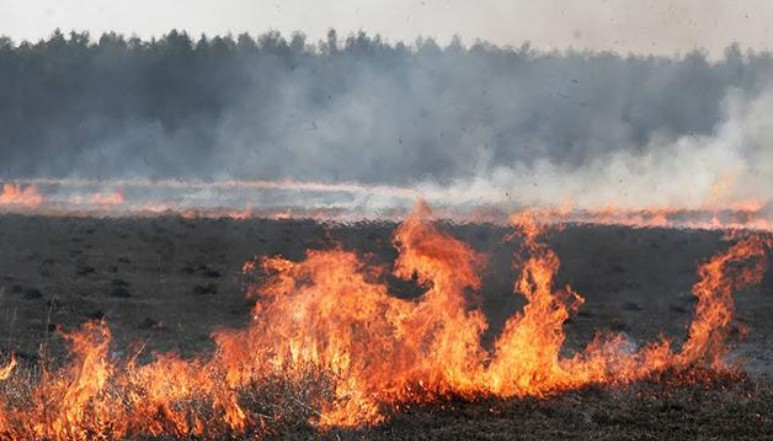 Боевики на Донбассе сжигают поля с урожаем