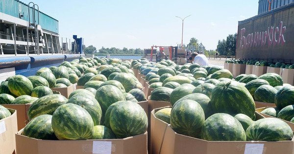 Арбузы для Киева начали грузить на баржу