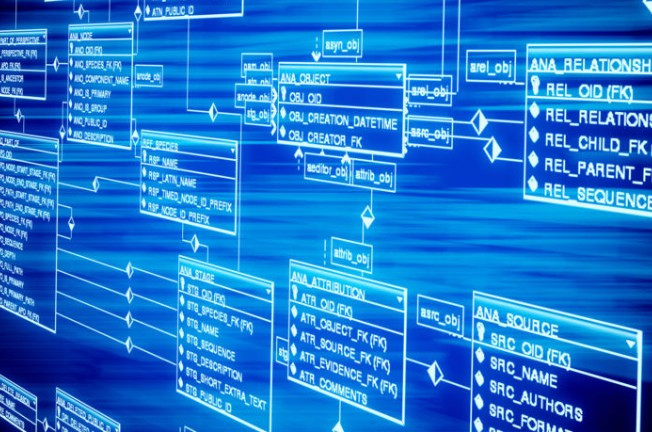 Привласнив інформацію з бази даних ДФС: під суд піде колишній посадовець