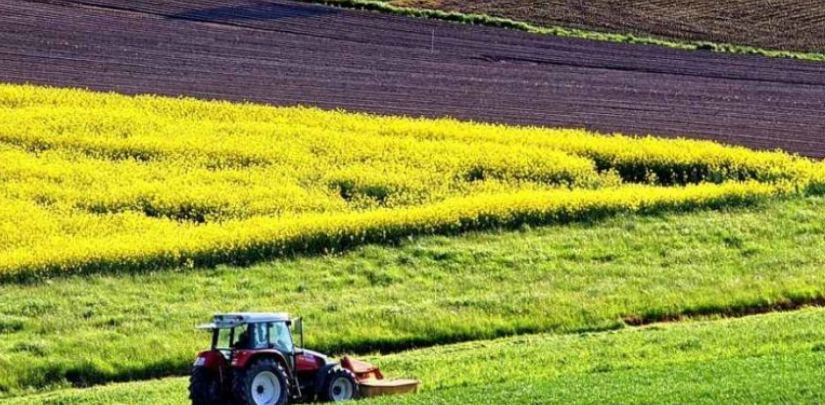 Оскарження рішення щодо оренди землі: Велика Палата ВС визначила юрисдикцію спорів