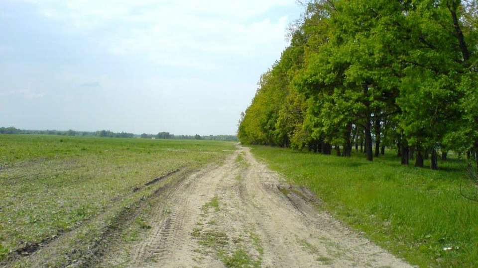 На Львівщині у лісосмузі знайшли тіло чоловіка без ознак життя