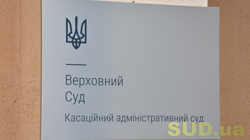 Два директори у справі: КАС розмірковував, хто має подавати апеляційну скаргу