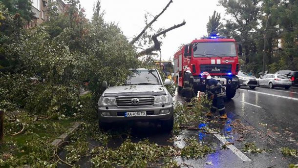 Повалены деревья и сорваны крыши: последствия непогоды в Николаевской области