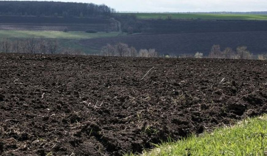 Бездіяльність уряду щодо нерозроблення законопроекту про обіг сільгосп земель: у справі є подробиці