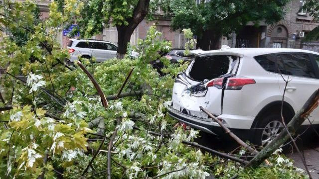 Падіння дерева на автомобіль: важлива постанова КЦС ВС