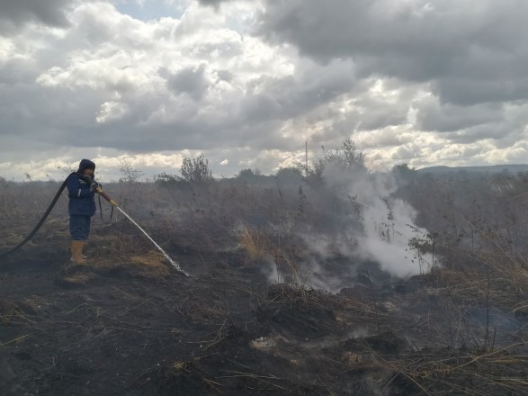 Пожежа під Львовом: торф’яники горять майже два тижні