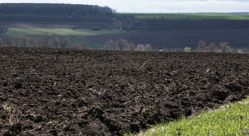 Цільове призначення земельної ділянки власник визначатиме самостійно: ініціатива «Слуги народу»