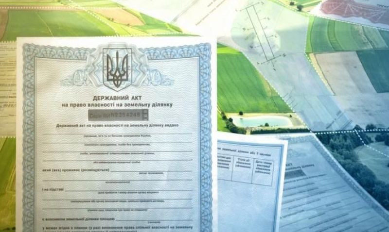 Спадкування паю колективного сільськогосподарського підприємства: рішення суду