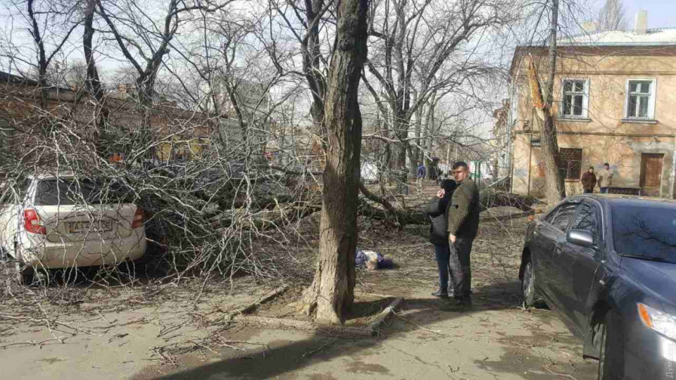 В Одессе из-за урагана погибла женщина: фото, видео