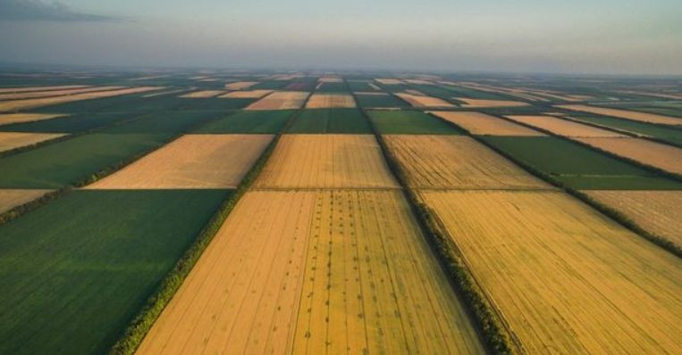 Депутати не зможуть вносити стільки поправок, як до закону про ринок землі