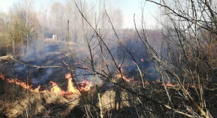 В Киеве вспыхнул масштабный пожар: есть видео