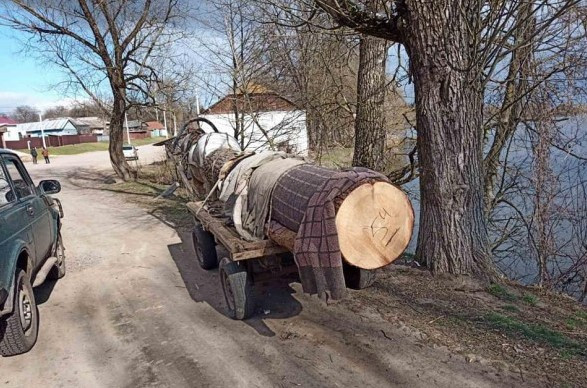 На Сумщині крадії дерев накинулися з ножем на екоінспекторів