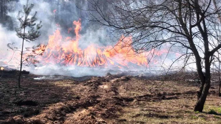 Пожары в Чернобыле нанесли государству миллионные убытки: горят тысячи гектаров