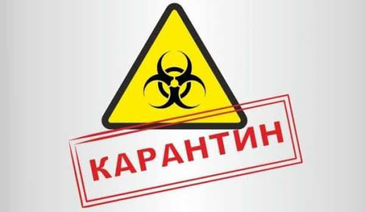 Торгівля квітами під час карантину: суд виніс рішення