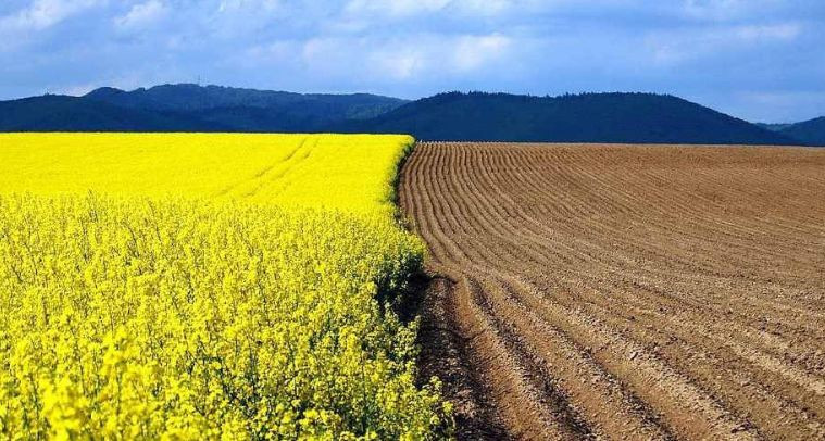 Велика Палата ВС уточнила, з якого моменту обчислюється початок дії договору оренди земельної ділянки