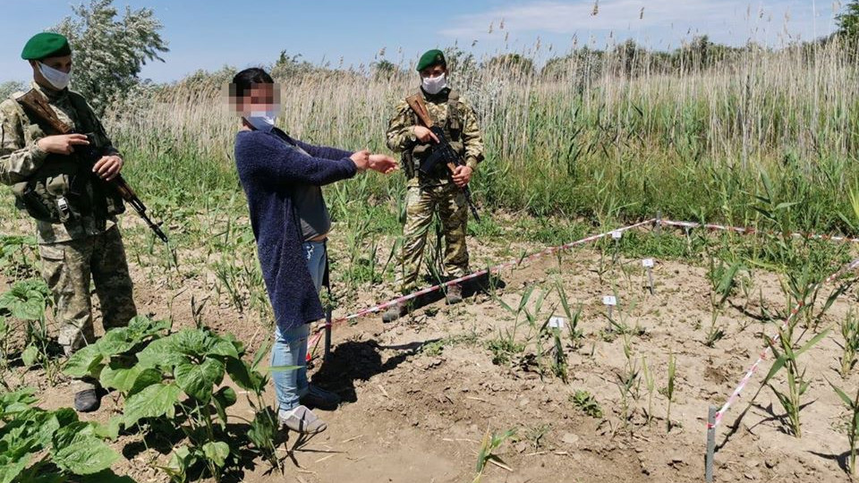 Вів наречену до родичів крізь очерет, оминаючи кордон: в Україні затримали молдаванина