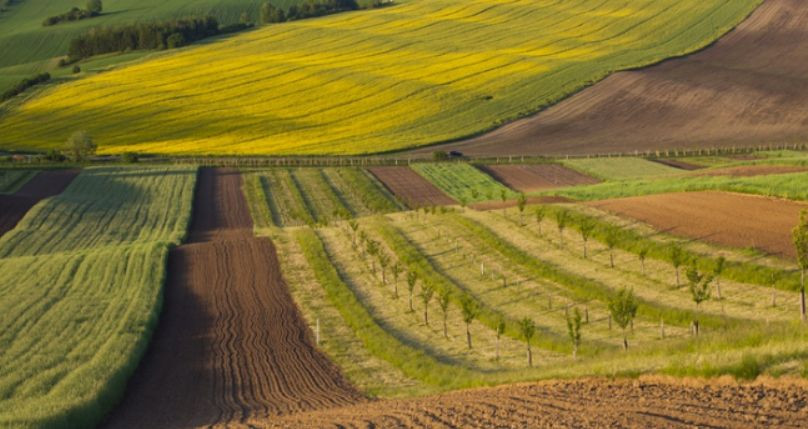 Реєстраційні дії щодо земельних ділянок: 7 типових порушень