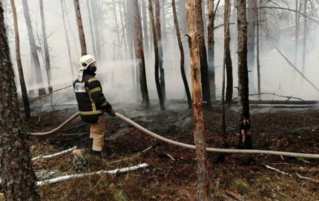 Чорнобиль знову палає: на території одного з лісництв спалахнула пожежа