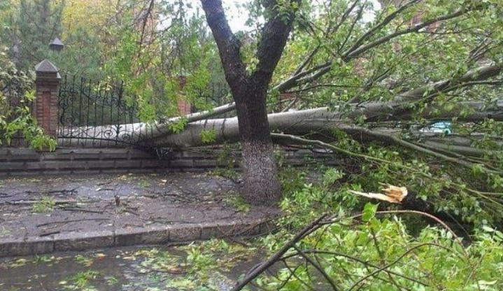 Відшкодування завданої шкоди унаслідок стихійного лиха: права громадян