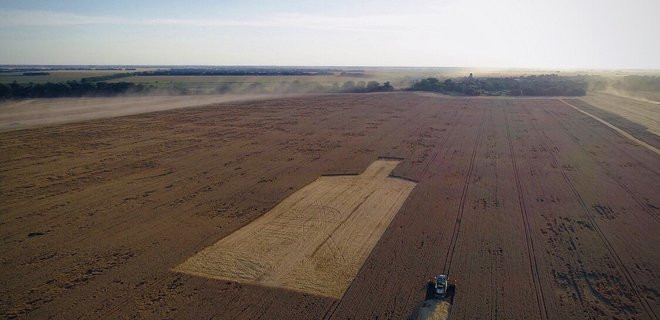 В Киевской области оригинально украсили пшеничное поле, фото