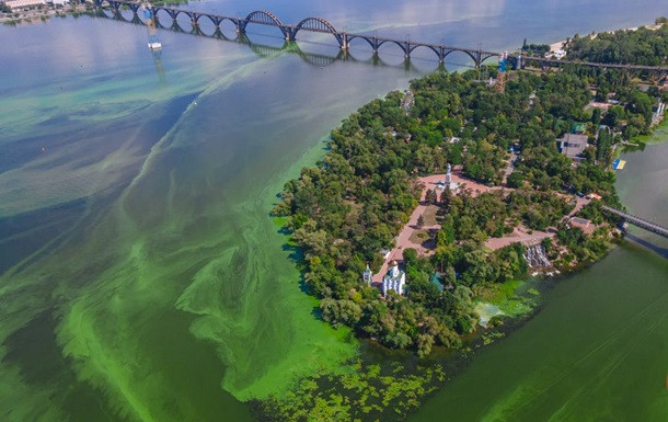 Под конец лета вода в Днепре позеленела: впечатляющие фото