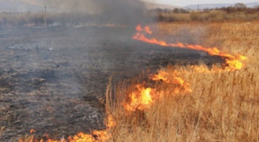 В Украине объявили о чрезвычайной пожарной опасности: карта