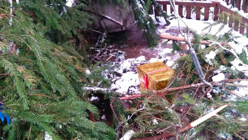 В Києві вандали познущалися над новорічними ялинками, фото