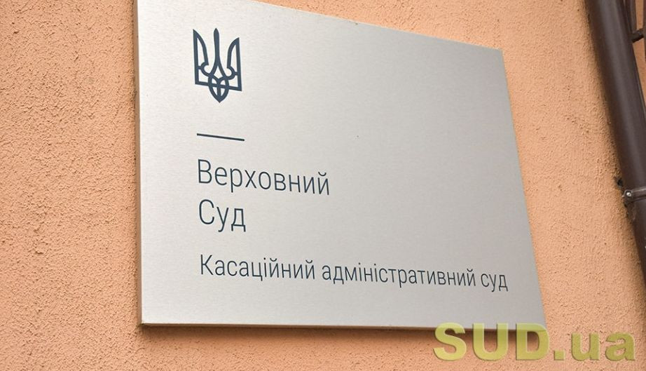 Право громадської організації на звернення до суду: постанова КАС ВС