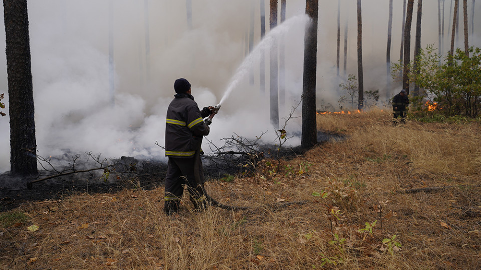 Підробка звітів про гасіння масштабних пожеж на Луганщині: посадовці ДСНС постануть перед судом