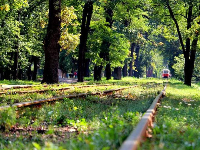 Прокуратура повернула громаді Пуща-Водицького лісництва землі вартістю 105 млн грн