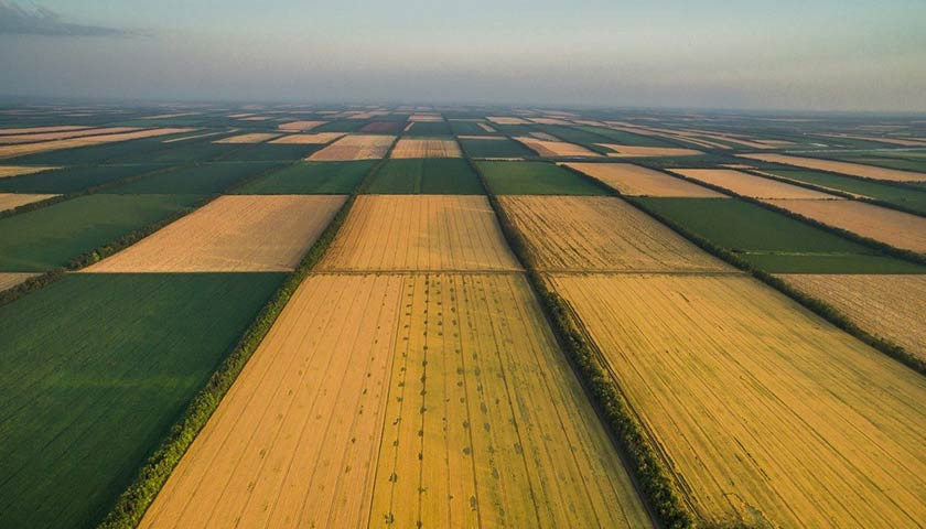 Як і для чого вносити відомості про земельну ділянку до Держреєстру речових прав на нерухоме майно: роз’яснення