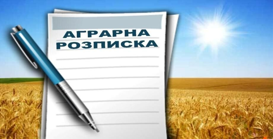 Виконання аграрних розписок: КГС ВС висловив позицію