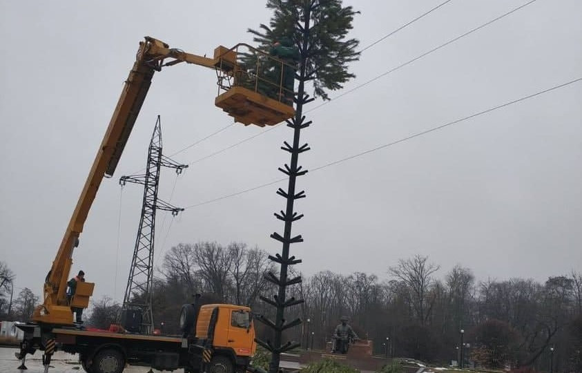 «В Киеве с забот – только елки»: где еще появилось новогоднее дерево