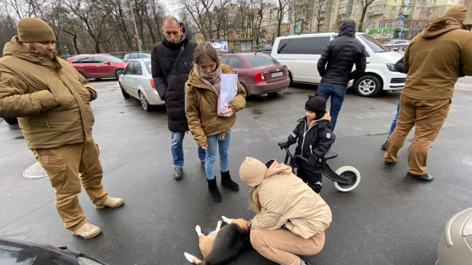 В Киеве из-за собаки остановили движение авто на оживленной дороге