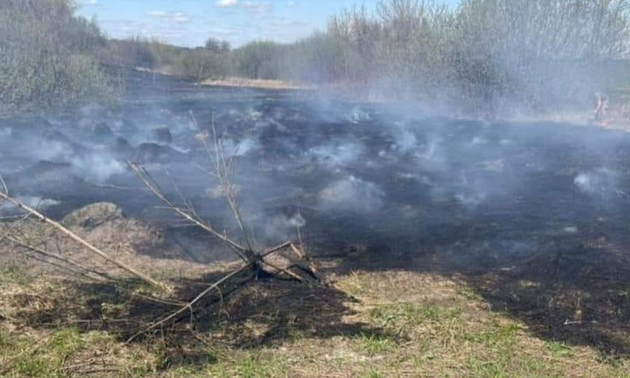 Оккупанты обстреляли позиции пограничников в Сумской области: видео