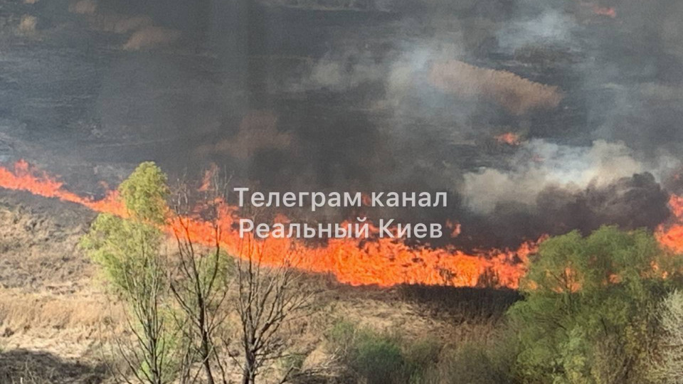 В Киеве на Троещине загорелся камыш: фото мощного пожара