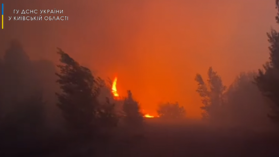 Под Чернобылем горит лес: видео