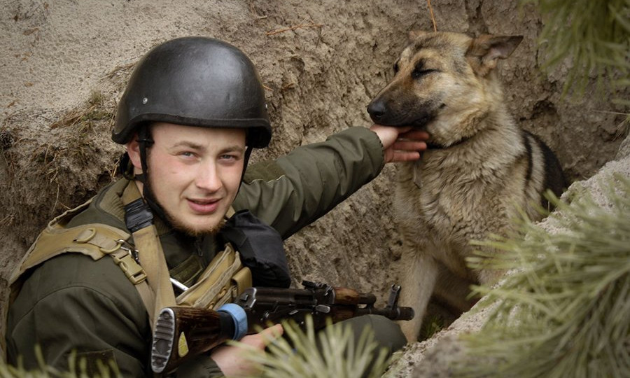 Вірний друг Фауст: під час боїв нацгвардієць знайшов собі чотирилапого помічника, фото