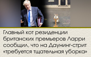 Головний кіт резиденції британських прем'єрів Ларрі повідомив, що на Даунінг-стріт «потрібне ретельне прибирання»