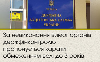 За невиконання вимог органів держфінконтролю пропонується карати обмеженням волі до 3 років