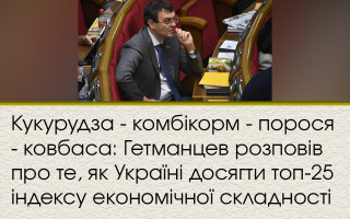 Кукурудза - комбікорм - порося - ковбаса: Гетманцев розповів про те, як Україні досягти топ-25 індексу економічної складності