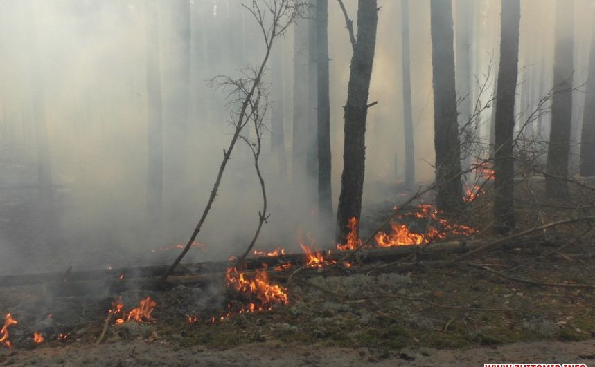 В Чернобыльской зоне фиксируют несколько очагов возгорания: что с радиационным фоном