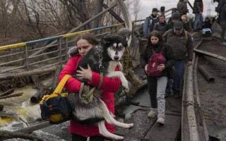 У «Слузі народу» пропонують евакуйовувати сім’ї військовослужбовців з районів, де можуть відбуватися бойові дії