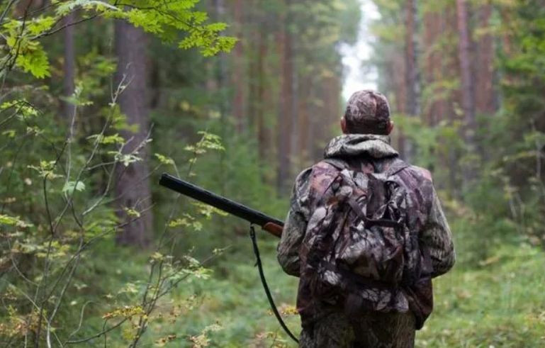 КАС ВС оцінив відповідність підзаконного акта законодавству при розгляді справи про врегулювання порядку селекційного відстрілу тварин