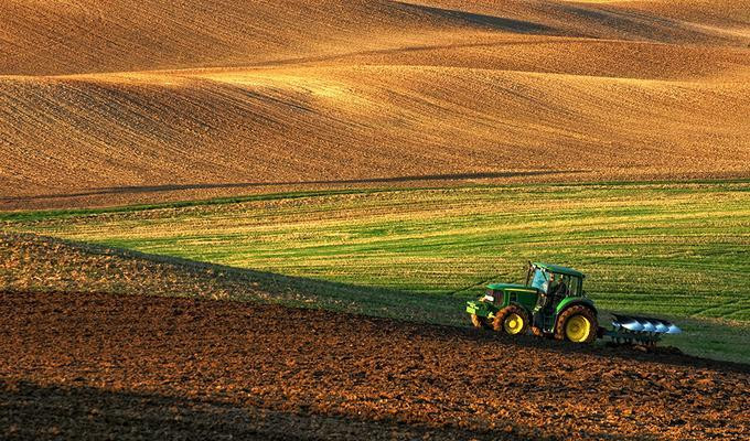 Рада відновила правила оформлення оренди на ділянки сільгосппризначення